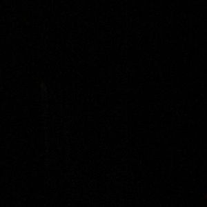 Meet your Posher, Nico